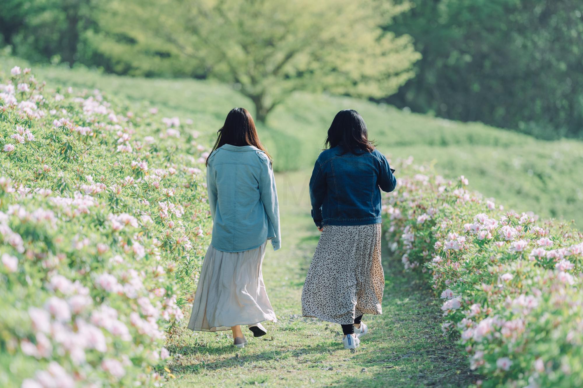 石川県金沢市で女性フレンドフォトを出張撮影しました！｜撮影写真（3枚目）